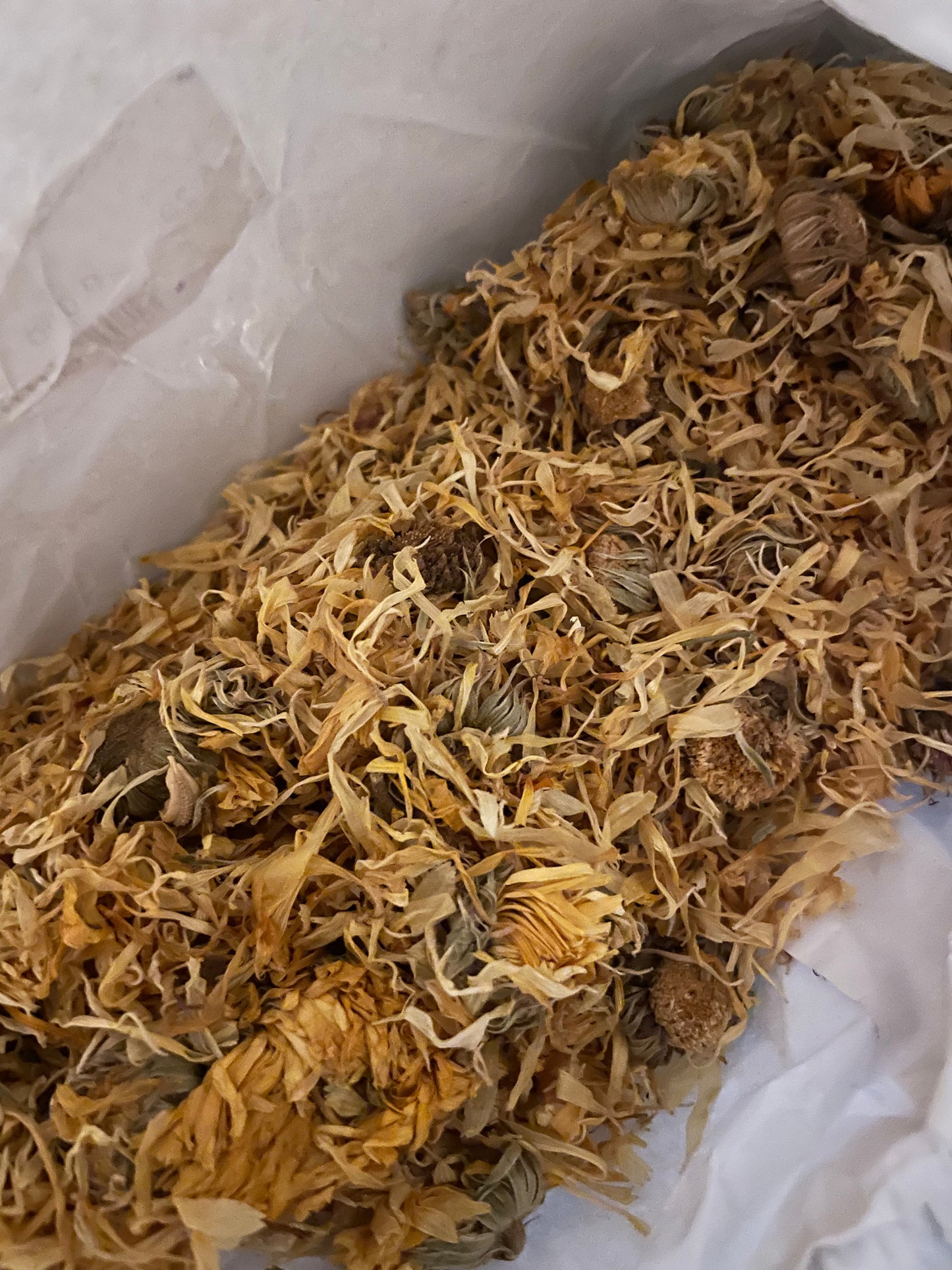 Marigold/ Calendula