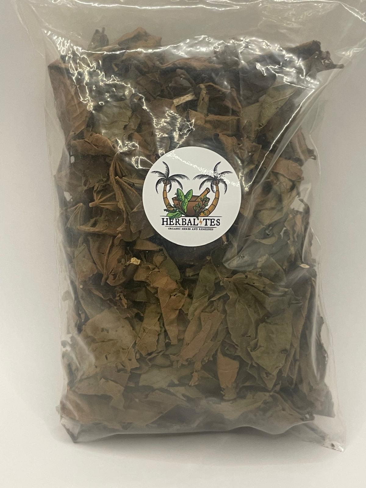 Hops (Humulus lupulus)