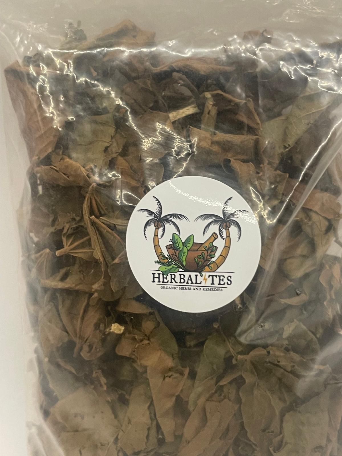 Hops (Humulus lupulus)